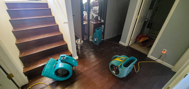 Best Water damage cleanup near me  in Cavalier, ND