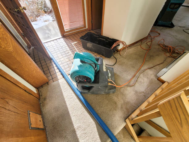 Best Professional water damage repair  in Cavalier, ND